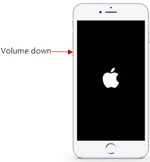 fix iphone reboot loop